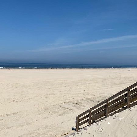 HAMAC - vue mer - 100M PLAGE Berck Eksteriør billede
