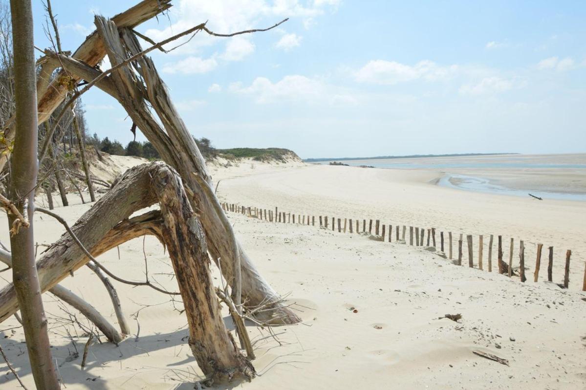 HAMAC - vue mer - 100M PLAGE Berck Eksteriør billede