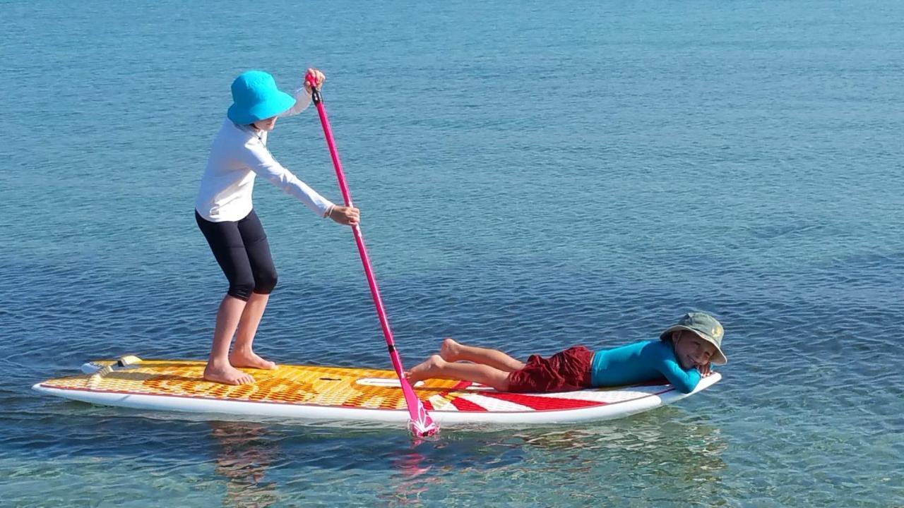 HAMAC - vue mer - 100M PLAGE Berck Eksteriør billede