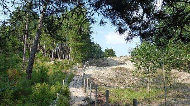 HAMAC - vue mer - 100M PLAGE Berck Eksteriør billede