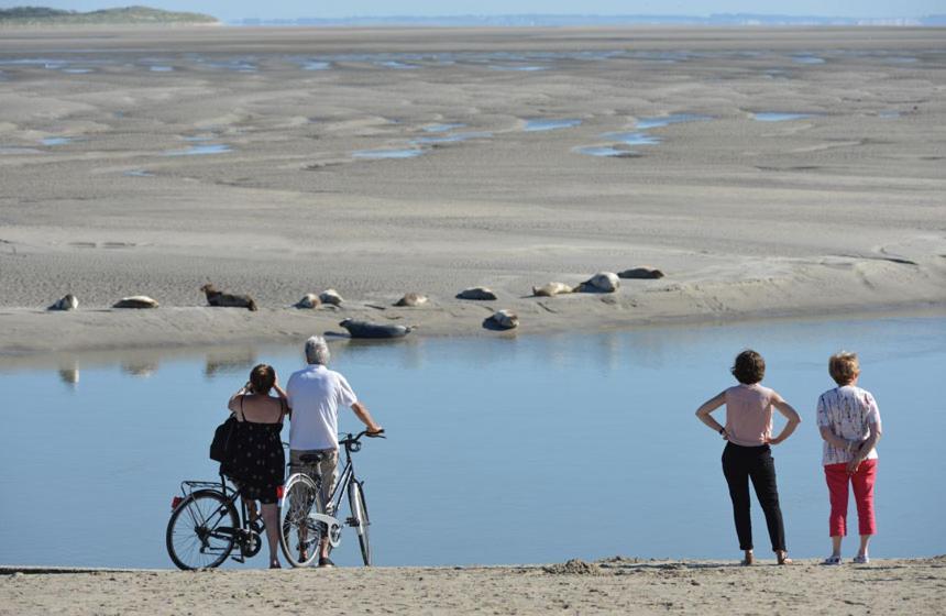 HAMAC - vue mer - 100M PLAGE Berck Eksteriør billede